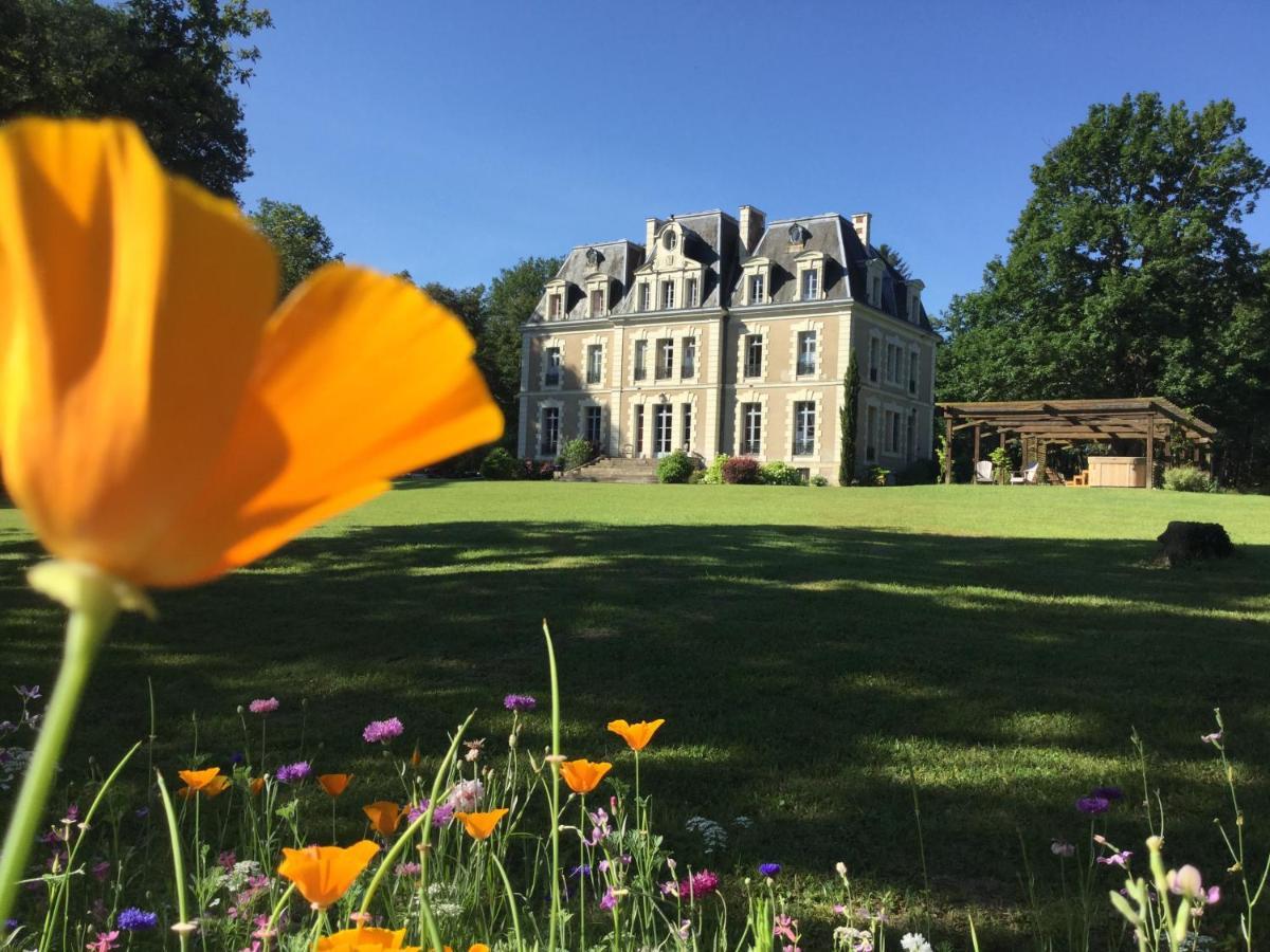 Chateau Des Essards Avec Piscine Et Jacuzzi Langeais Exterior foto